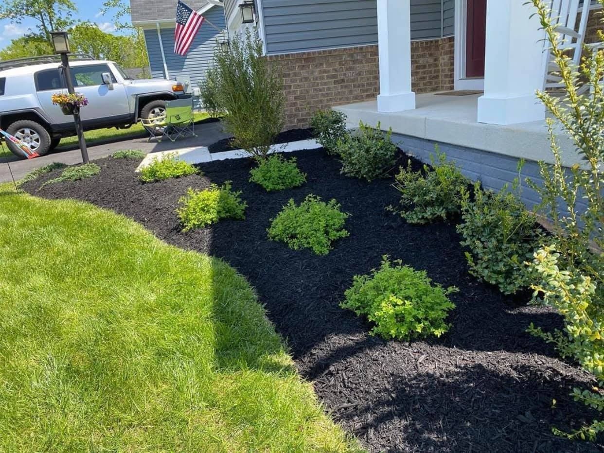 Front yard landscaping with green shrubs and black mulch. A white car and house are visible.