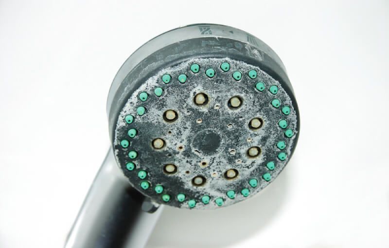 Showerhead with mineral buildup and clogged spray nozzles.