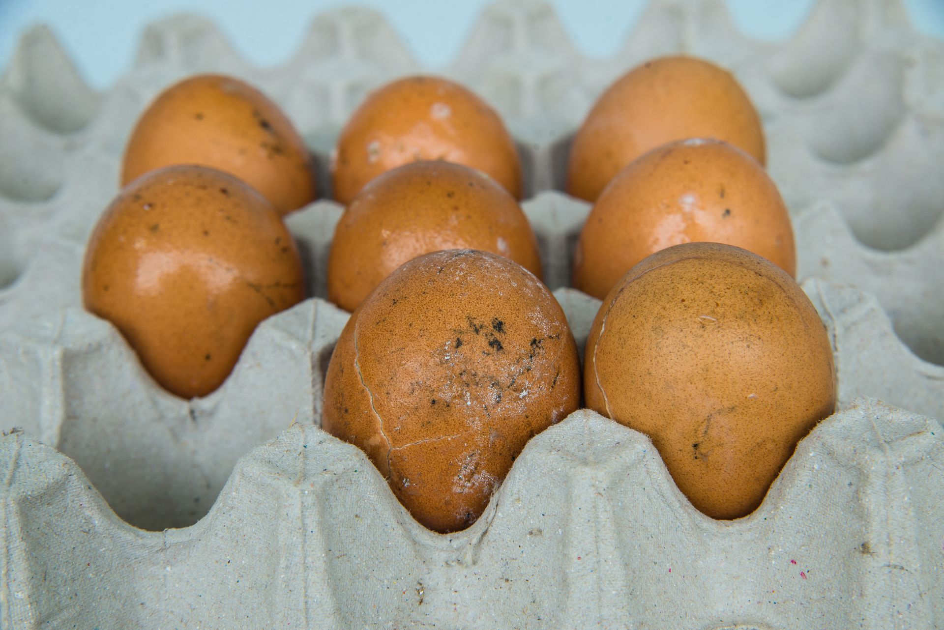Eight brown eggs in a gray cardboard carton, some with visible dirt.