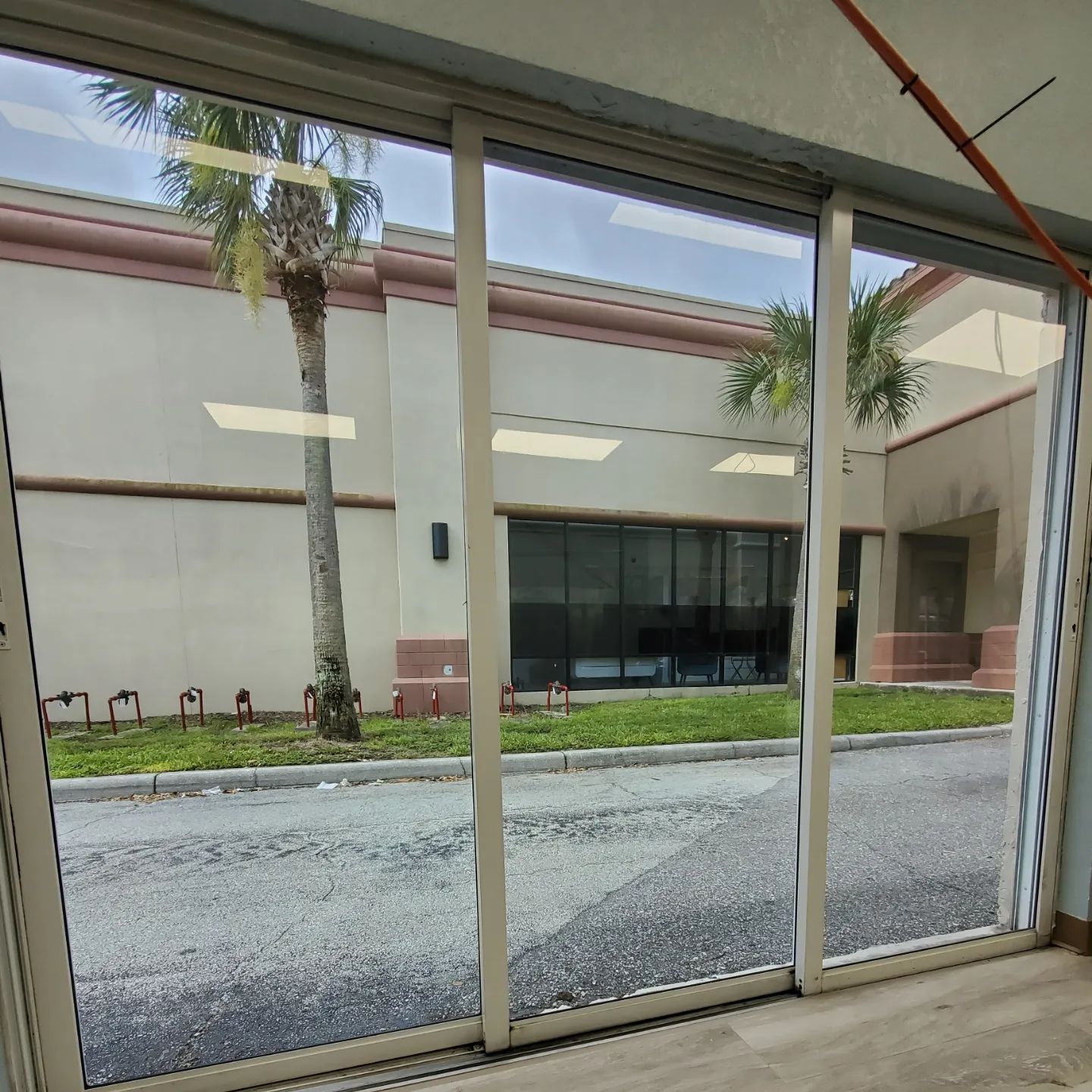 A sliding glass door with a palm tree in the background
