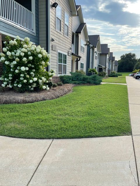 A row of apartment buildings with a lush green lawn in front of them