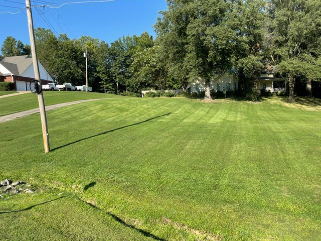 A lush green lawn is surrounded by trees and a telephone pole.