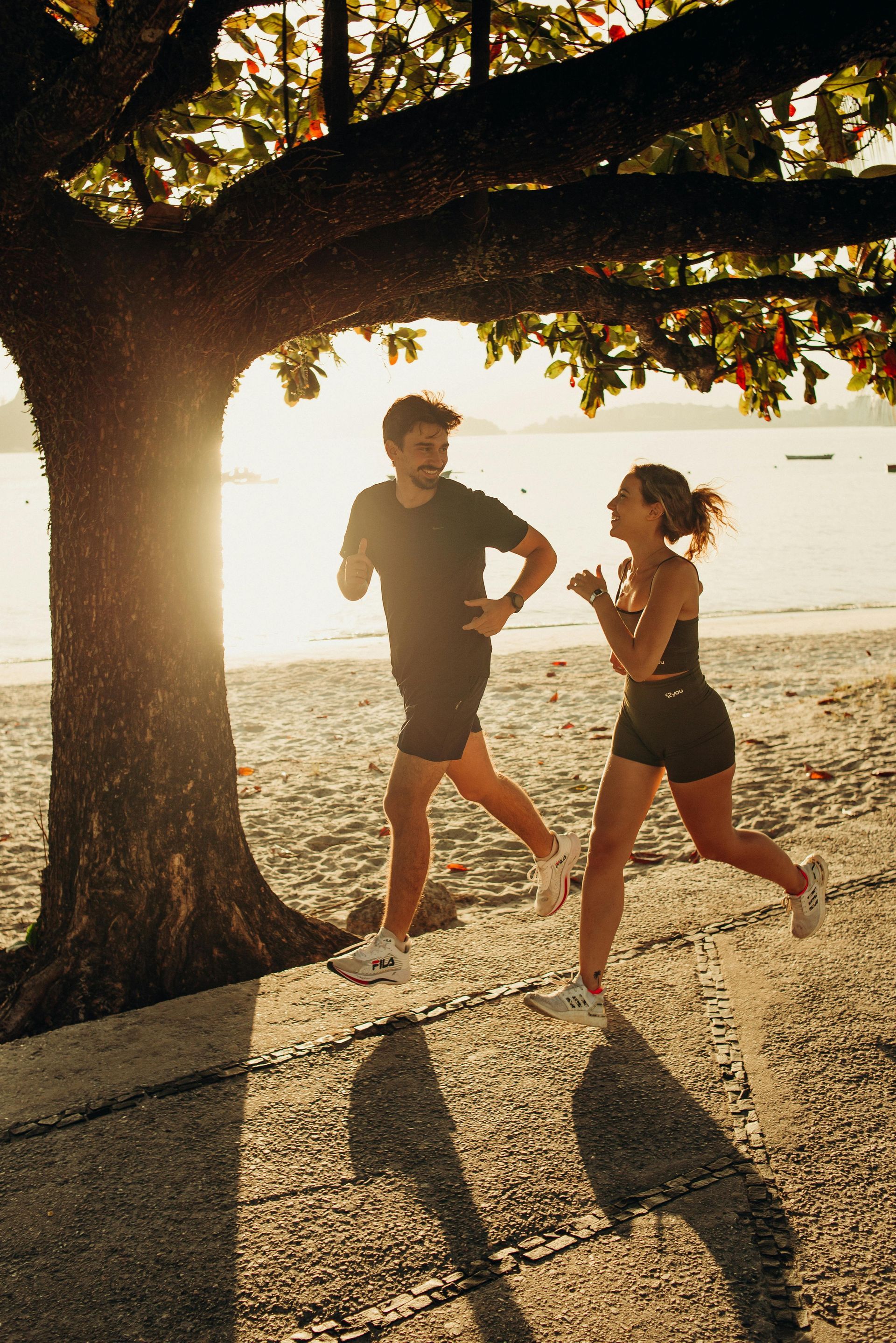 Two runners silhouetted by sunset beside a beach, passing under a large tree.