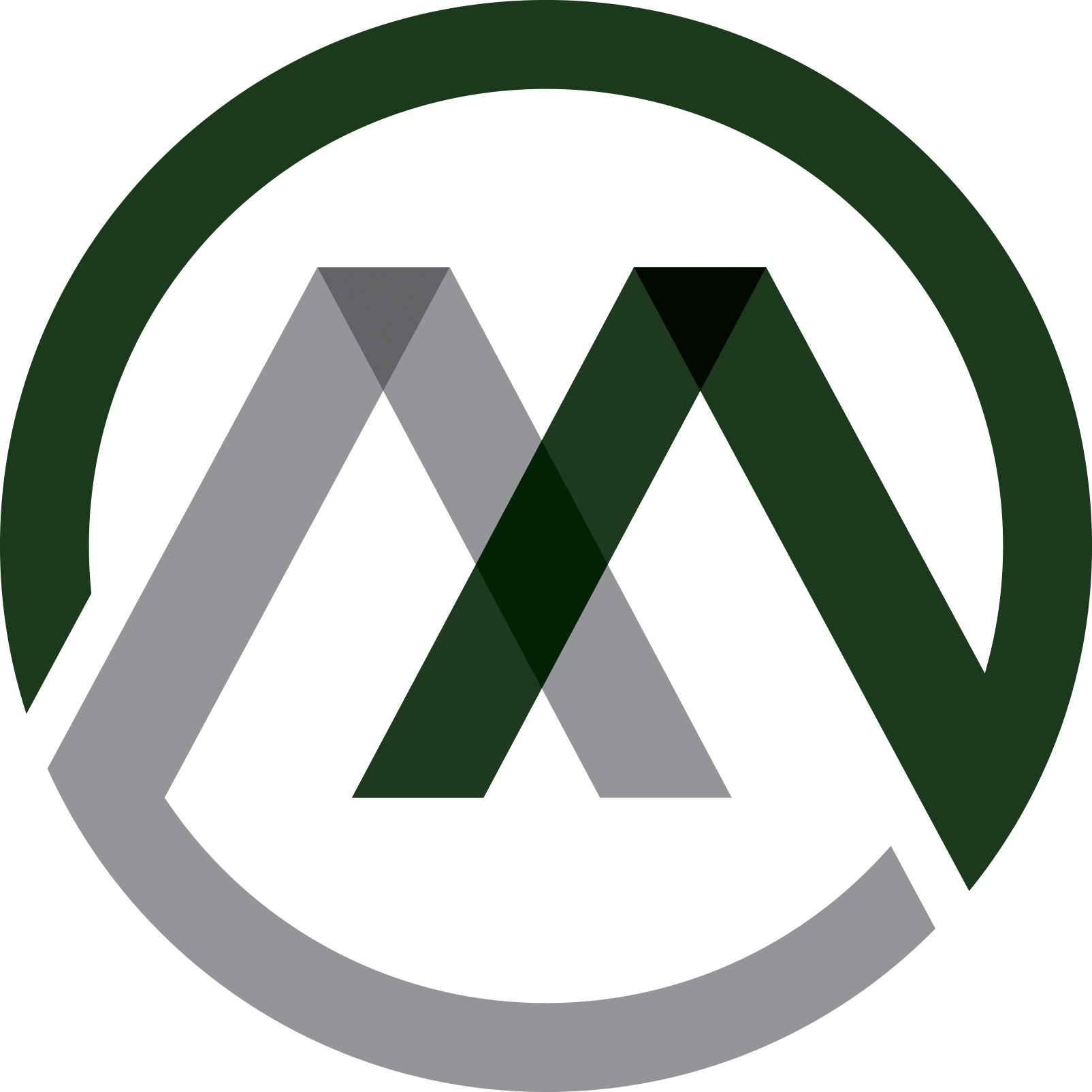 MADDOX & ASSOCIATES MADDOX & ASSOCIATES
