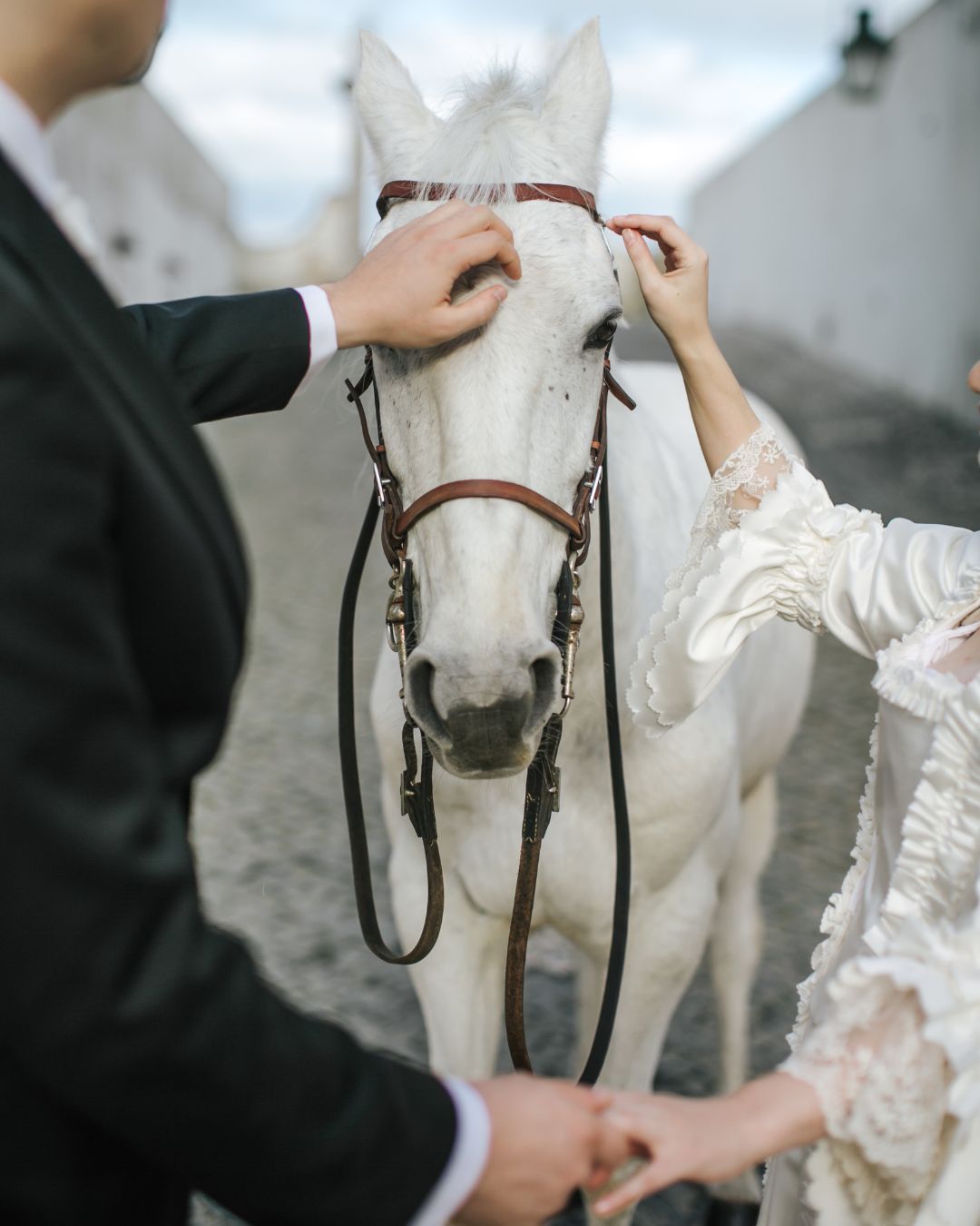 Bride seen from behind wearing a self-made 18th-century wedding dress and an elegant updo, standing in the gardens of Seteais Palace in Sintra — a romantic setting for an 18th-century themed elopement.