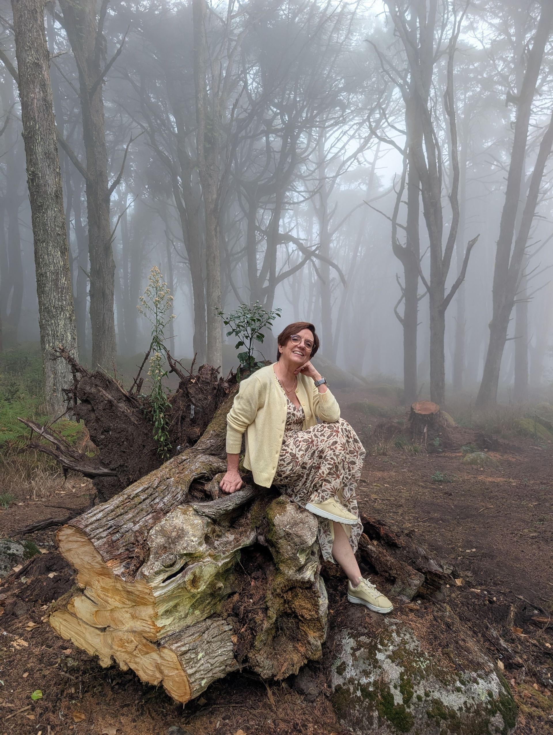 Anabela sits smiling on a large, mossy, felled tree log in a dense, foggy forest. She wears a cream-coloured cardigan over a patterned dress. The misty woods of Serra de Sintra create an ethereal, atmospheric backdrop.