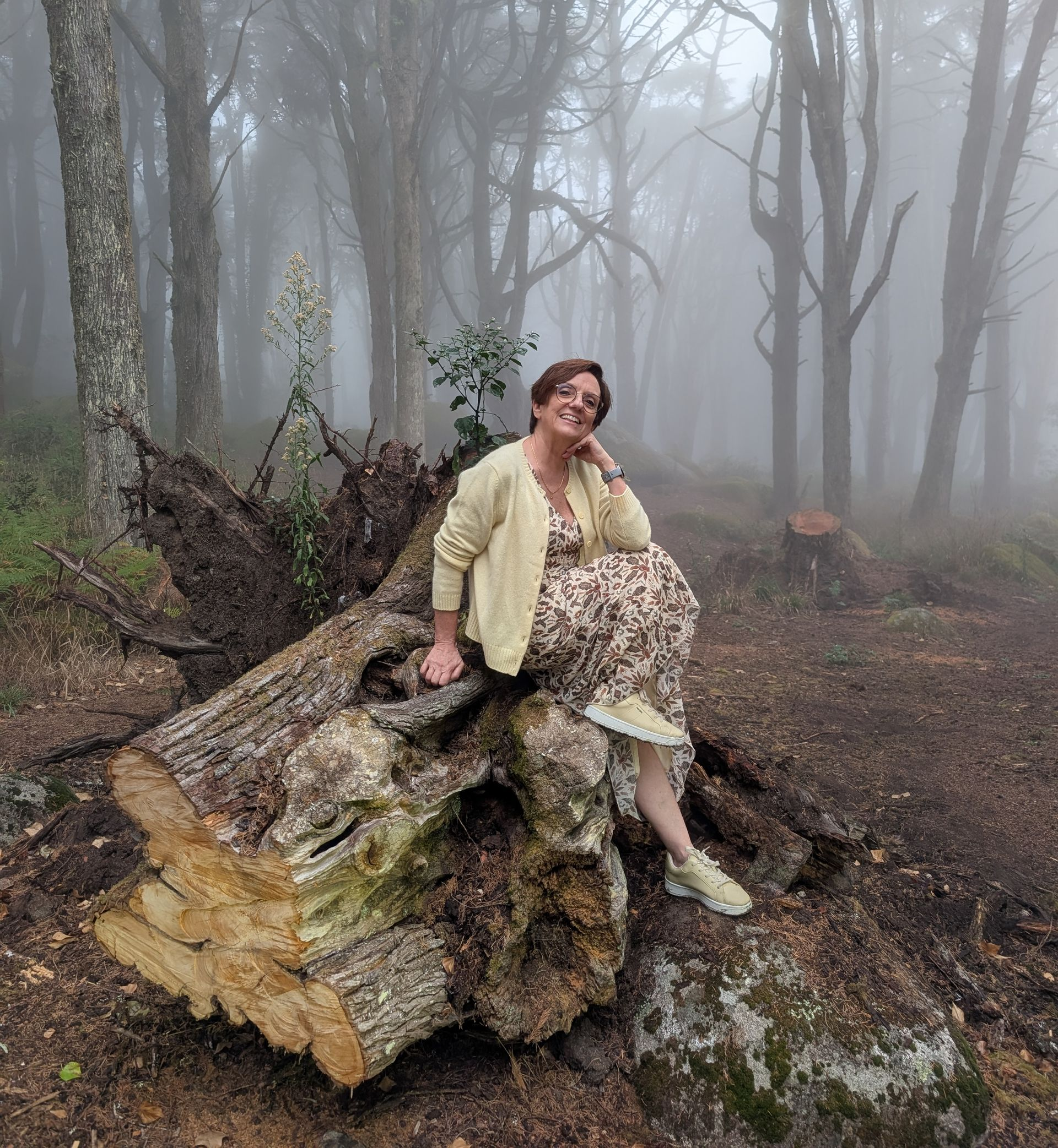 A Anabela está sentada e a sorrir sobre um grande tronco de árvore caído e coberto de musgo, num bosque denso e nebuloso. Veste um casaco de malha creme sobre um vestido com padrão. Os bosques enevoados da Serra de Sintra criam um cenário etéreo e atmosférico.