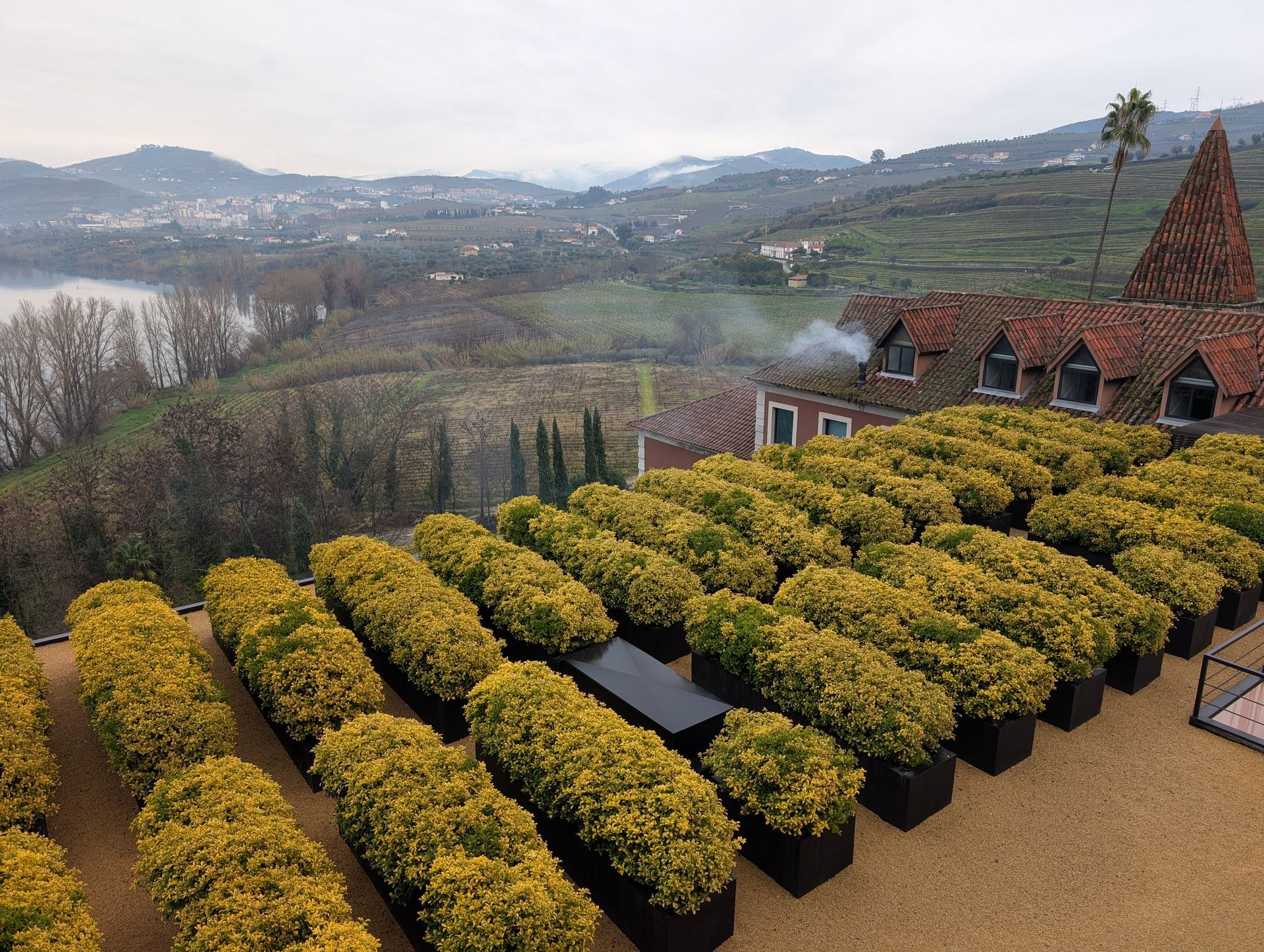 A garden with neatly aligned yellow shrubs in planters overlooking the hills and vineyards of the Douro Valley on a cloudy day.