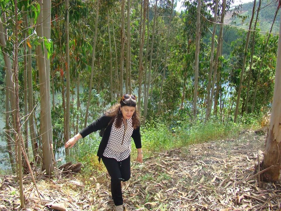 A Palmira sobe cuidadosamente uma encosta coberta de folhas secas, num bosque de árvores altas e esguias, possivelmente de eucalipto. Veste uma camisa de bolinhas pretas e brancas e um casaco de malha preto. Um curso de água, semelhante a um rio, é visível ao fundo, por entre as árvores.