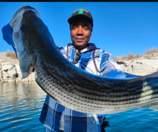 Lake Mohave Trophy Striped Bass Fishing Charters