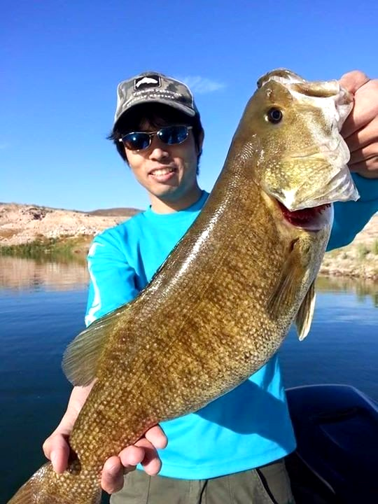 Lake Mead Bass Fishing Guides Las Vegas Fishing Guides