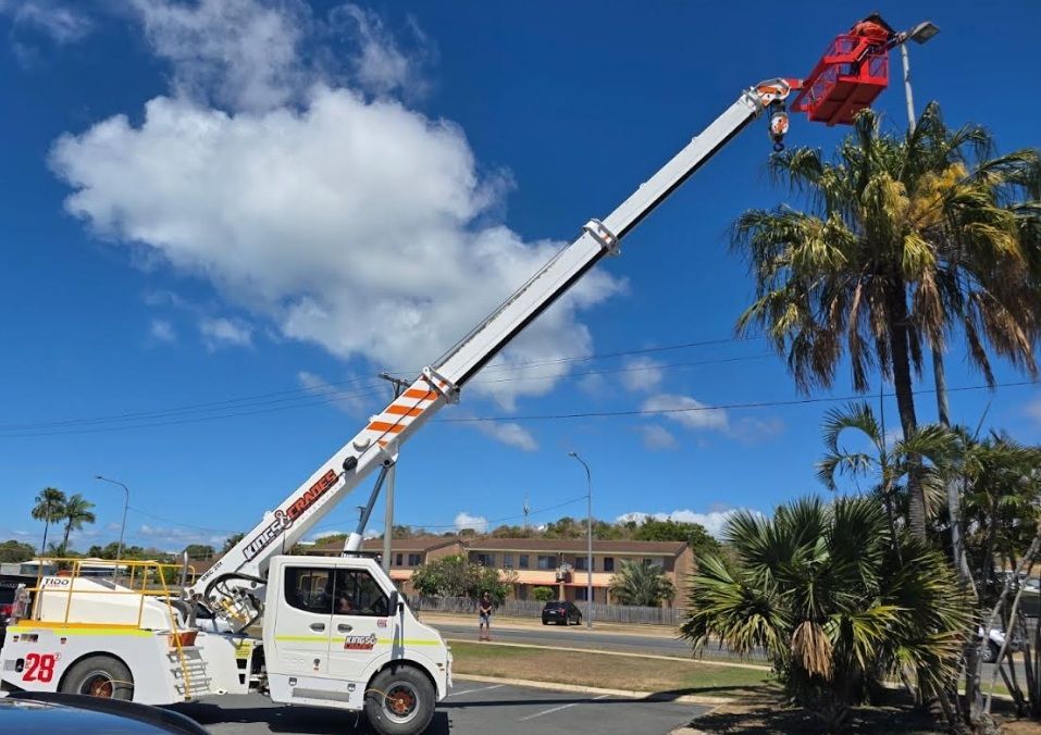 Utility truck with extended bucket lift trimming palm trees under a blue sky