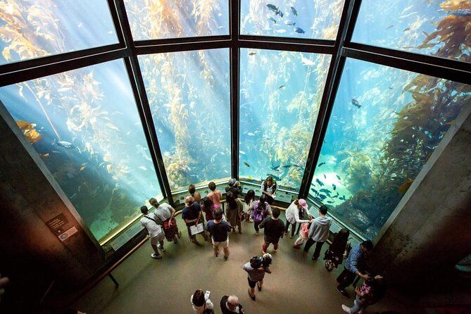 A group of people are looking at fish in an aquarium.