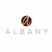 A logo for Albany, featuring a dark brown circle with a white lowercase