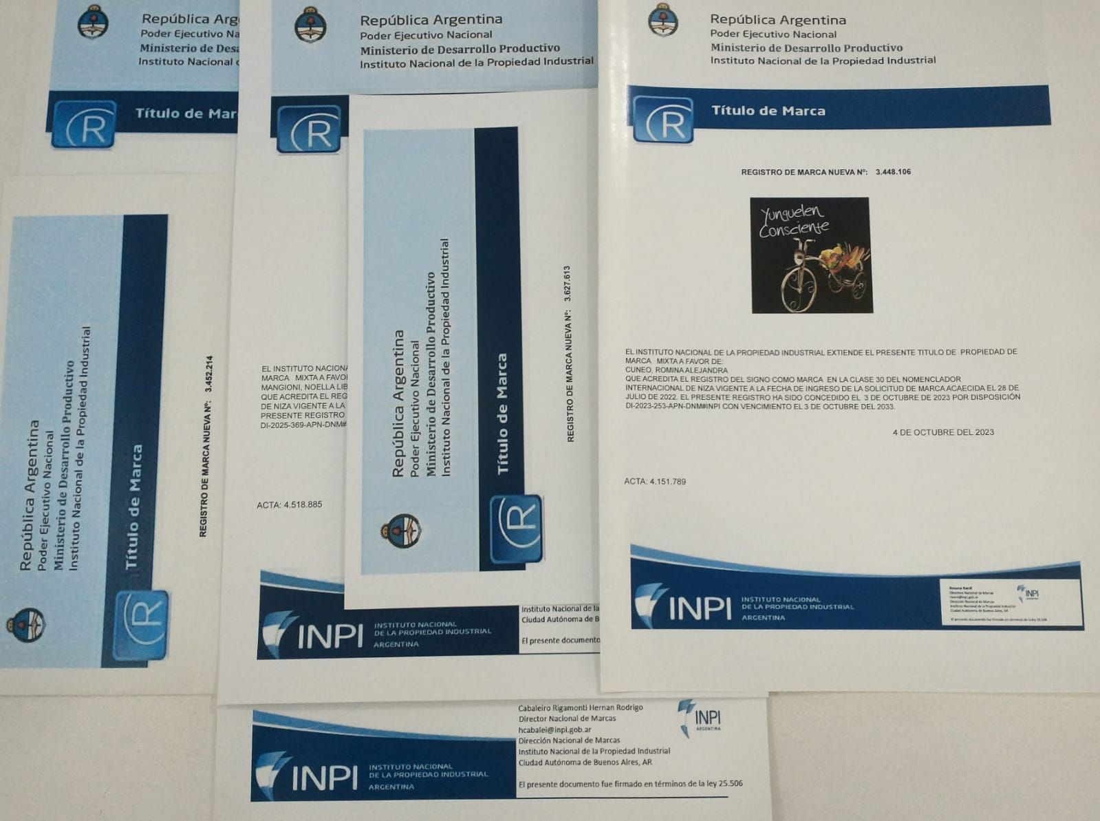 Documentos y sobres del INPI esparcidos sobre una mesa, en su mayoría blancos y azules con texto y logotipos impresos.