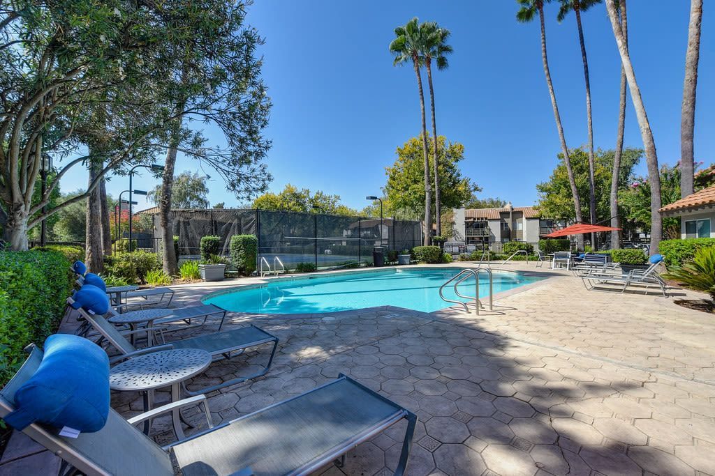 Outdoor community pool area with lounge chairs, umbrellas, and palm trees at Shore Park at Riverlake.