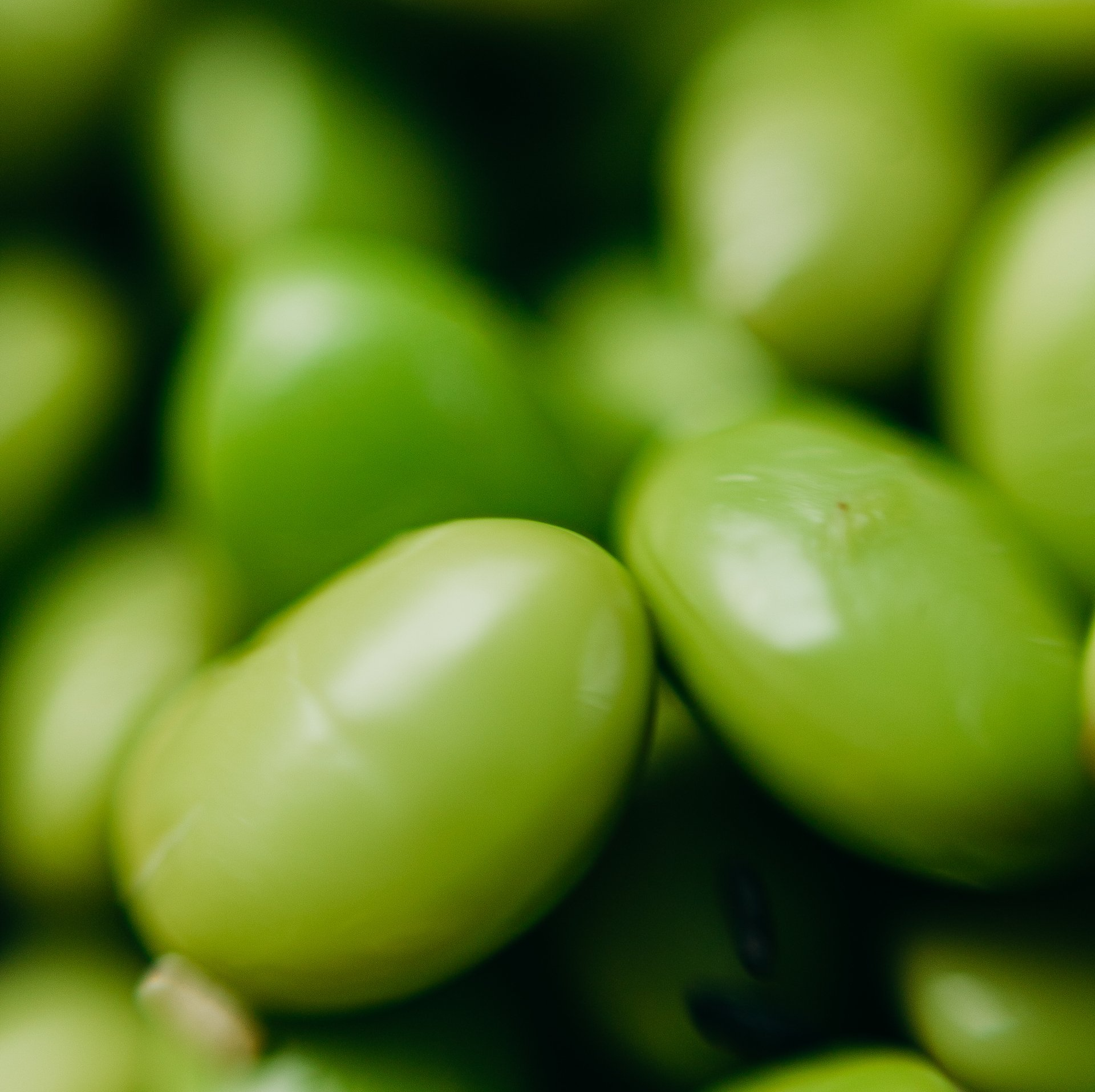 Nutrition and diet planning Brampton