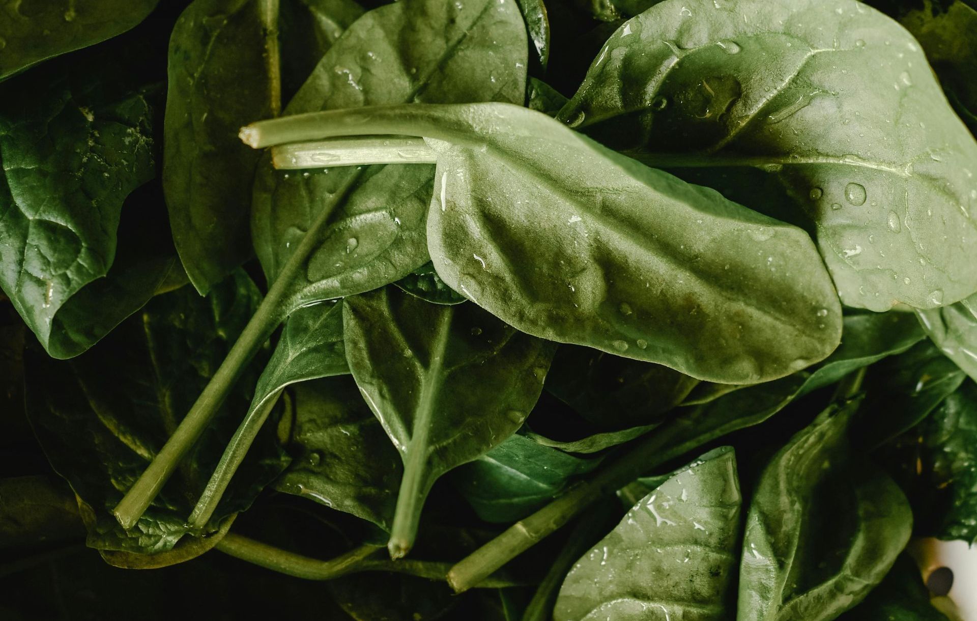Nutrition and diet planning Brampton