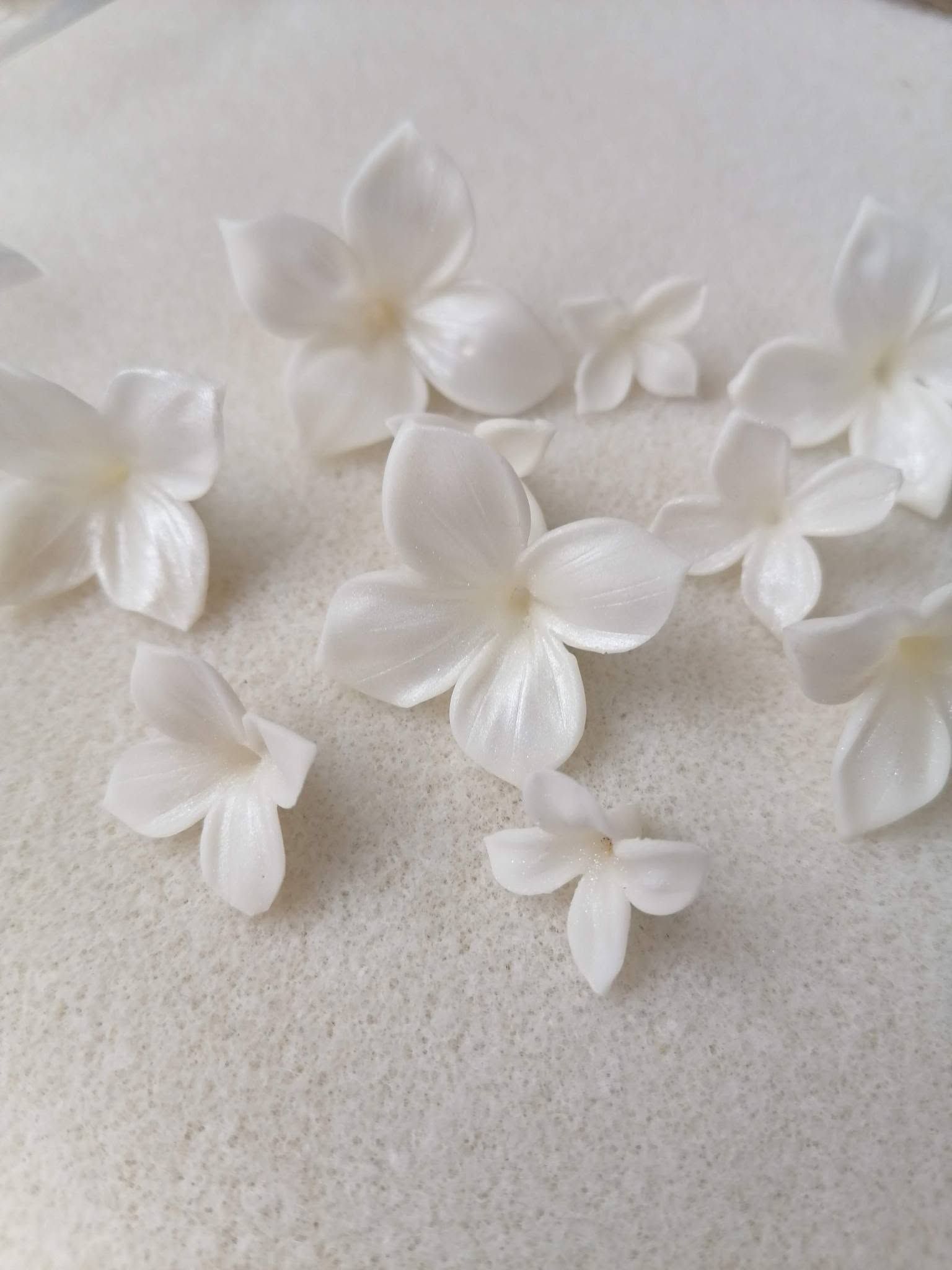 Pétalos de flores blancos y translúcidos esparcidos sobre una superficie clara con textura