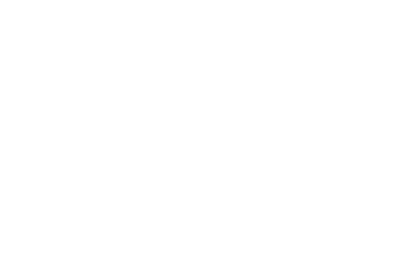 The Boone Firm PC White Logo