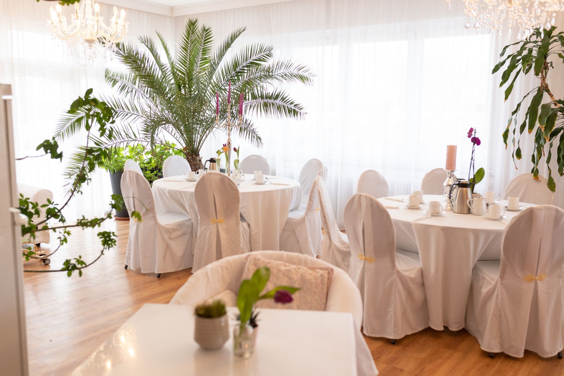 Helle Lounge in Hotel Maria. Sessel und Tische überzogen mit weißen Überzügen. auf den Tischen ist diverse Deko, und an der Fensterfront stehen zwei Palmen.