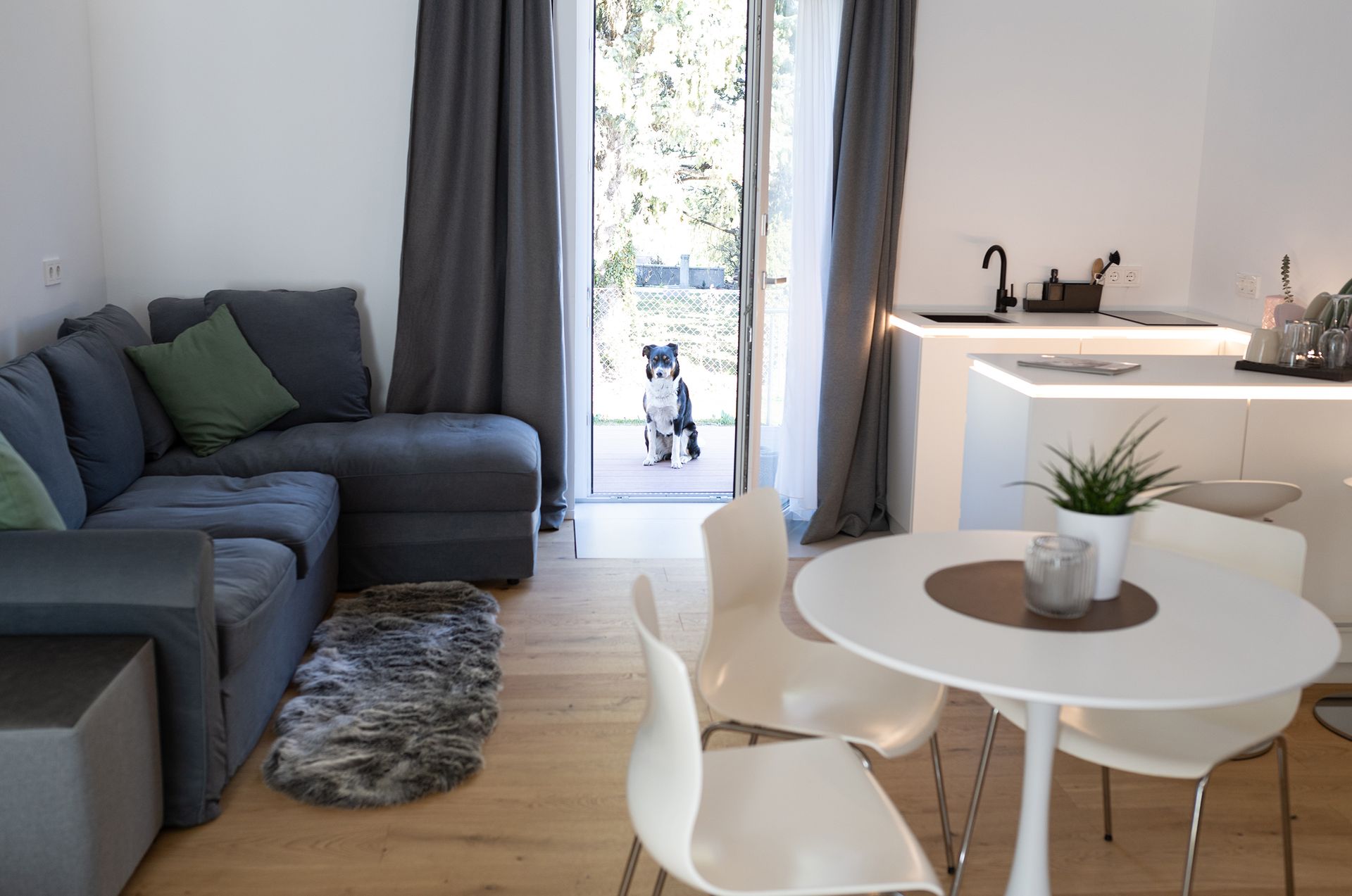 im Raum steht ein weißer runder Tisch mit drei passenden Stühlen, dahinter eine U-förmige weiße Küchenzeile. Gegenüber der Küche ist eine graue L-förmige Couch und ein kleiner Teppich in der selben Farbe. Die große Fenstertür ist offen, ein Hund blickt hindurch.