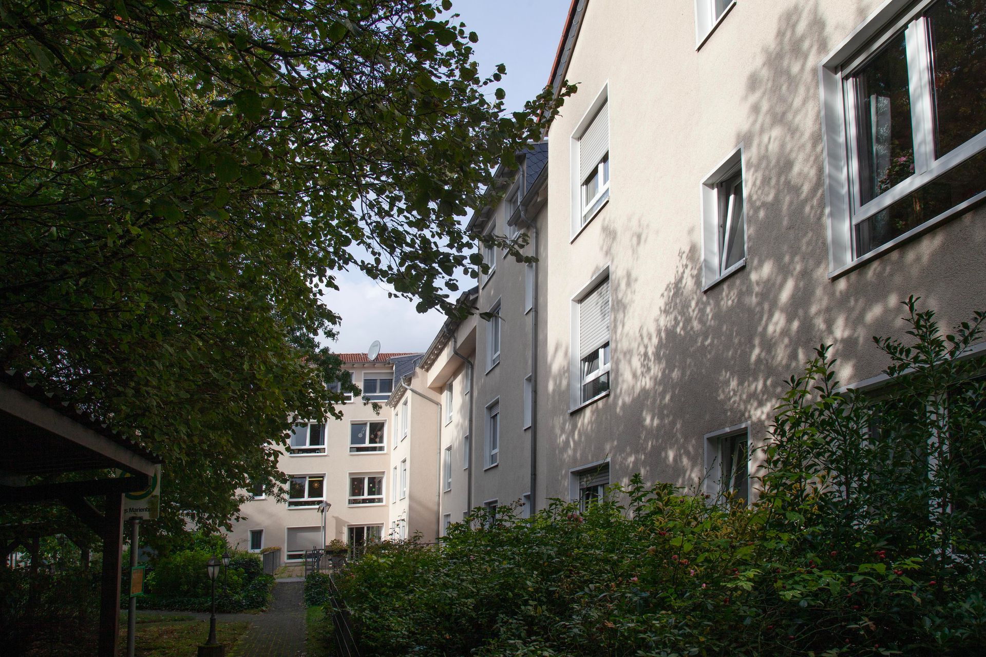 Blick auf helle Wohnhäuser hinter grünen Bäumen und Sträuchern unter klarem Himmel.
