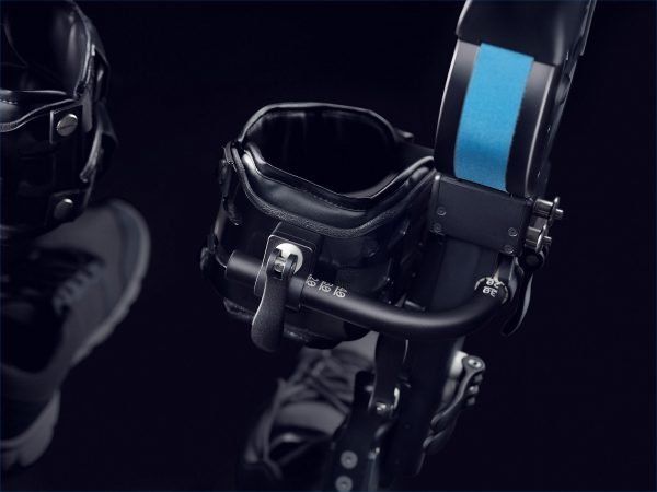 An exoskeleton with a blue stripe on it