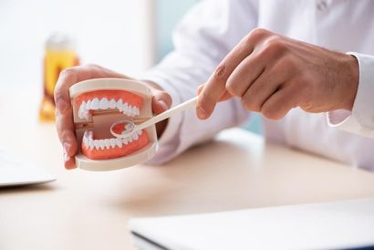 A Dentist is Brushing a Model of Teeth With a Toothbrush — Burleigh Heads Denture Clinic Gold Coast in Burleigh Heads, QLD A Dentist is Brushing a Model of Teeth With a Toothbrush — Burleigh Heads Denture Clinic Gold Coast in Burleigh Heads, QLD