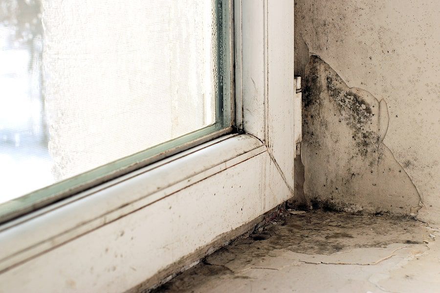 Black mold growth on a white window frame and the adjacent wall, indicating moisture damage.