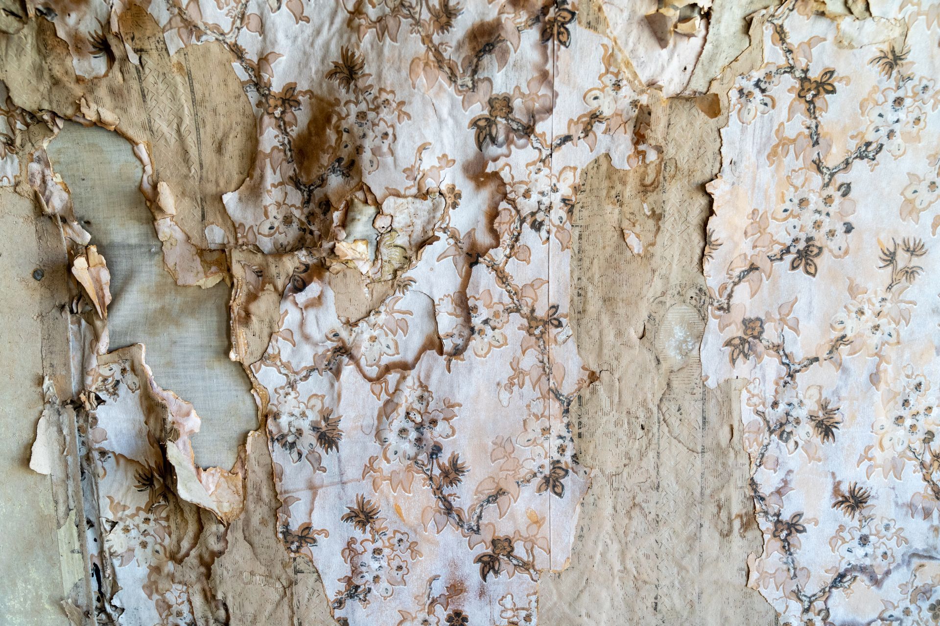 Peeling wallpaper with floral pattern over rough, light brown wall.