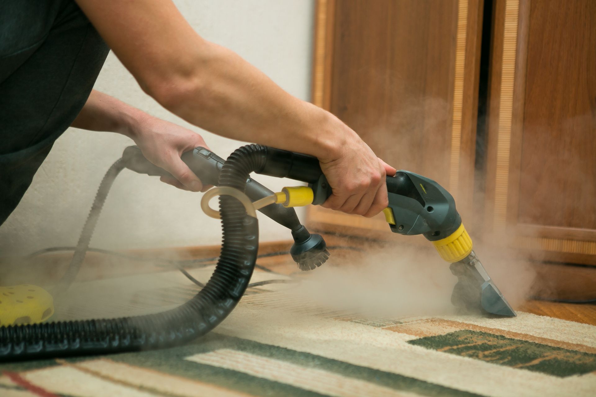 Person using a steam cleaner on a patterned rug; steam visible.