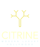 Company Logo - Footer