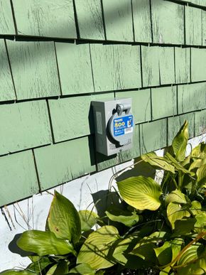 Outdoor wall-mounted electrical outlet on a green siding wall above leafy plants