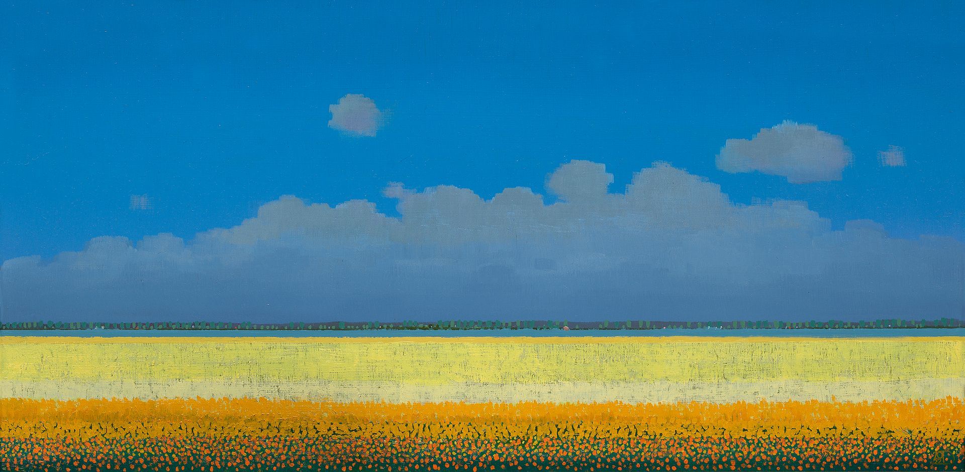 Gele tulpenvelden