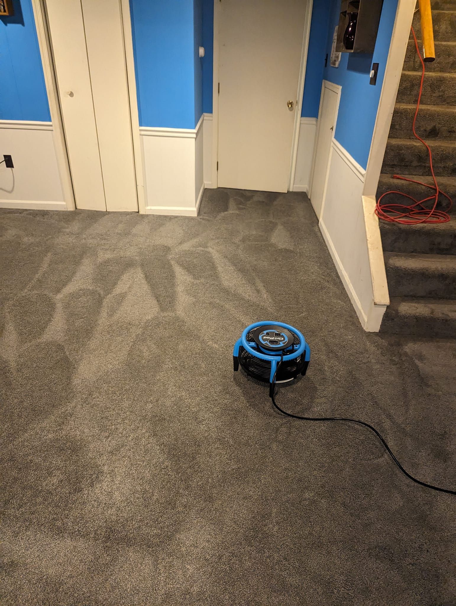 A vacuum cleaner is sitting on a carpeted floor in a room.