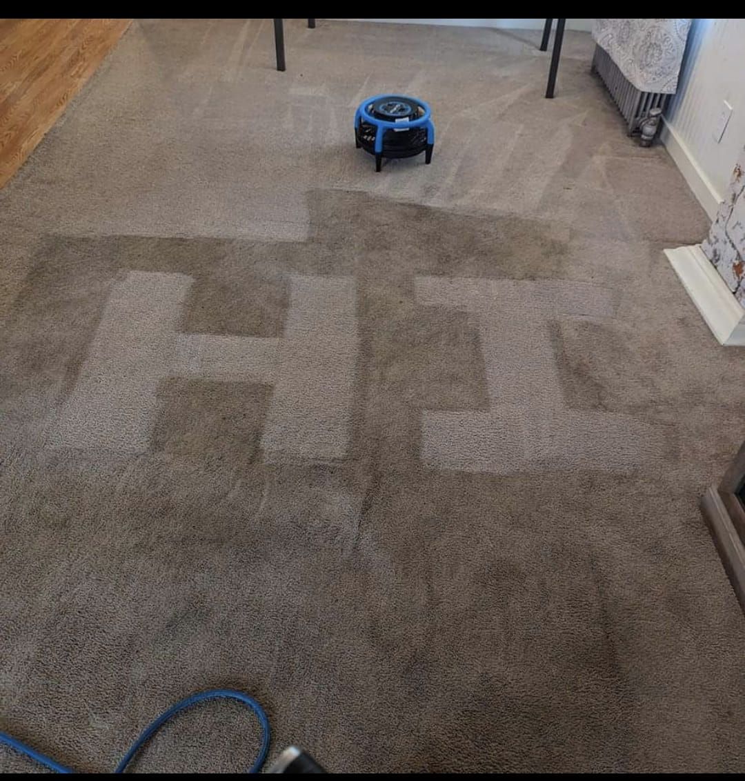 A robot is sitting on a carpet in a living room.