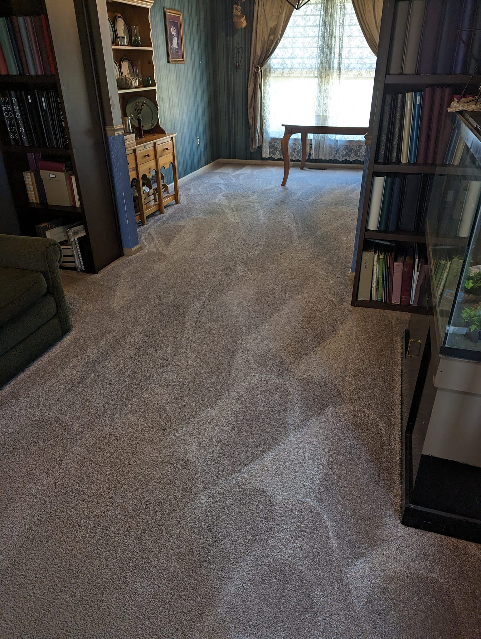 A living room with a lot of bookshelves and a carpeted floor.