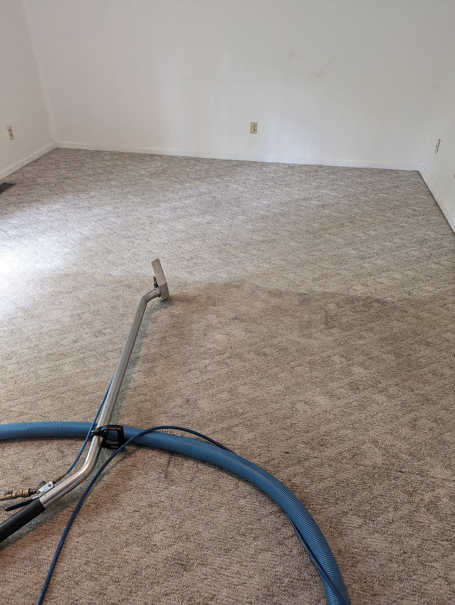 A vacuum cleaner is sitting on top of a carpeted floor in a room.