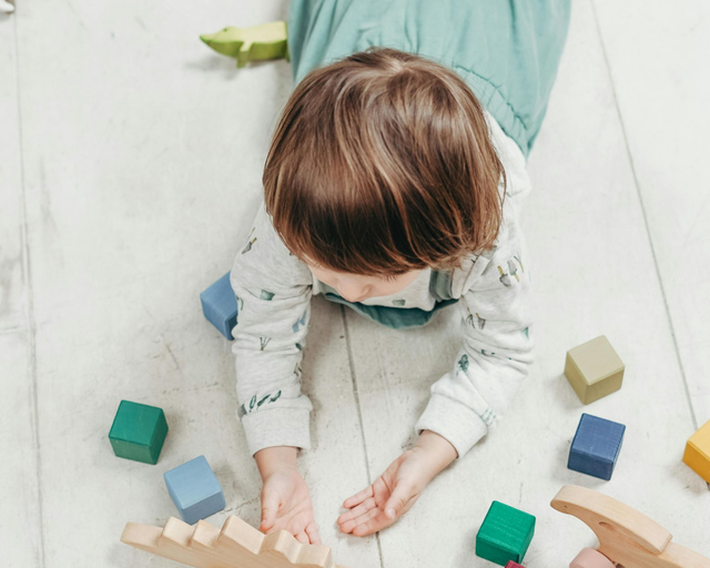 Child lying on floor playing with wooden toy crocodiles and colorful blocks.