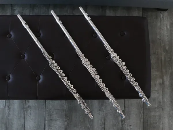 Carla Auld, Flutist