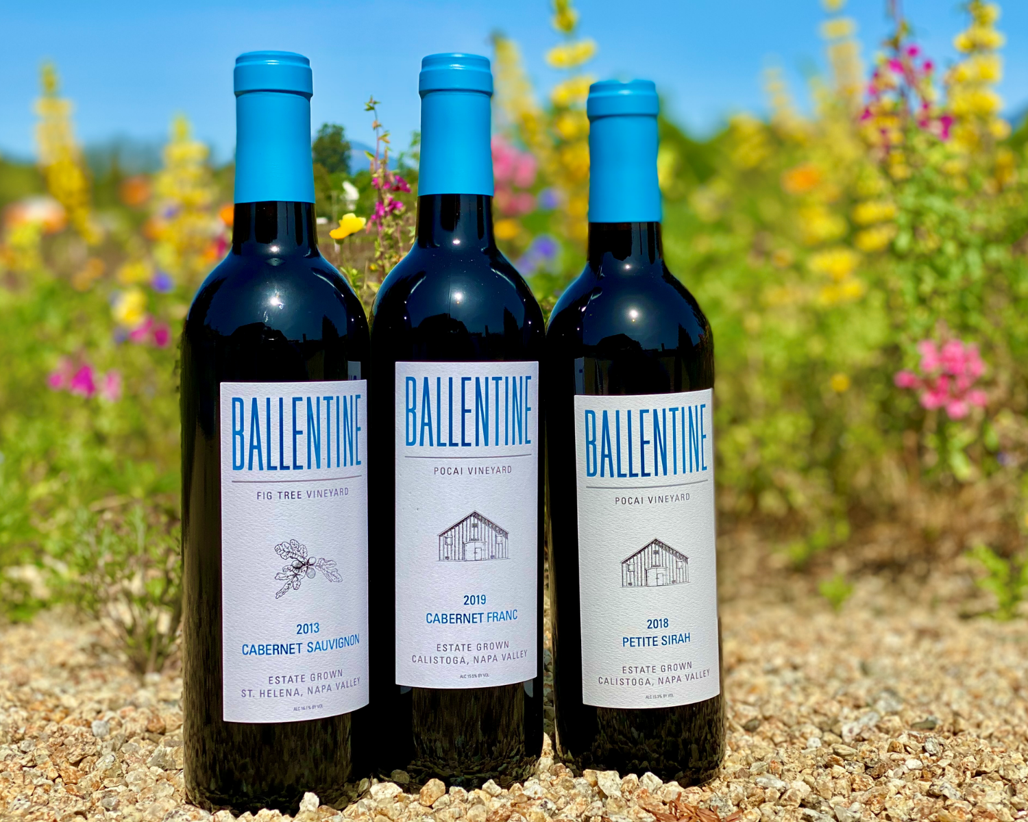 Ballentine Vineyards