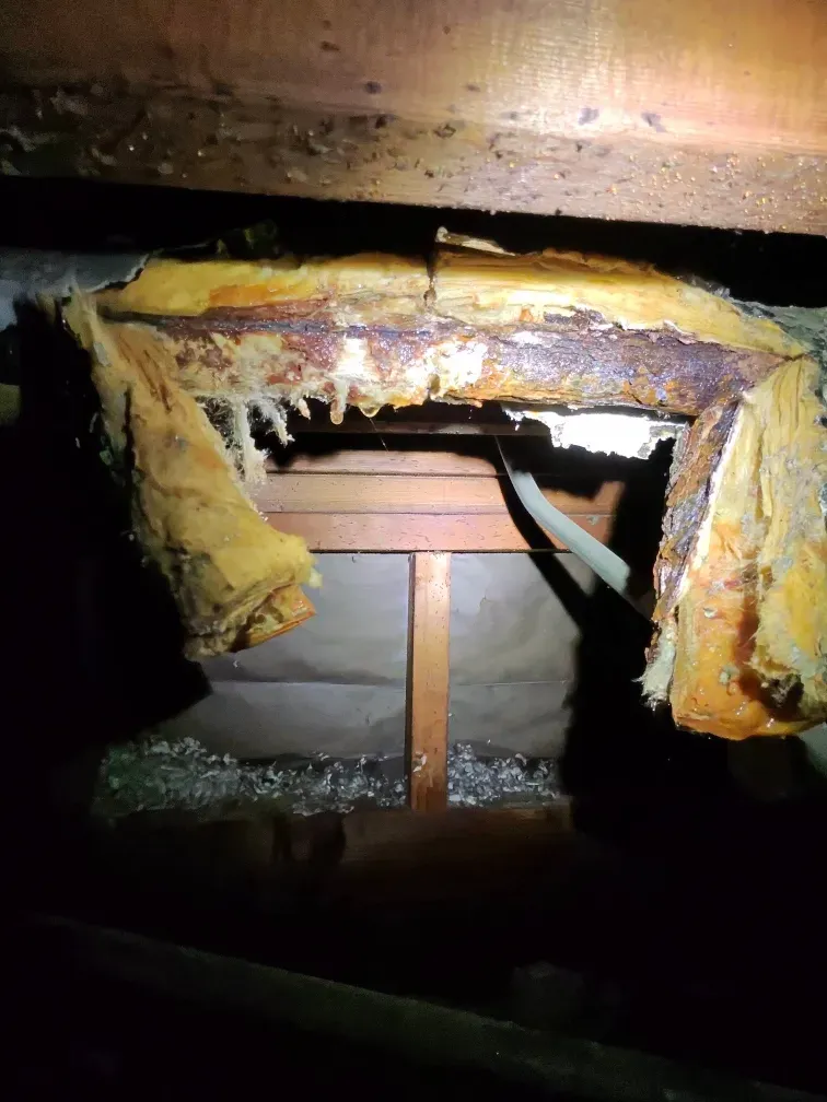 Damaged wall opening with exposed insulation and wooden framing inside a dark crawlspace