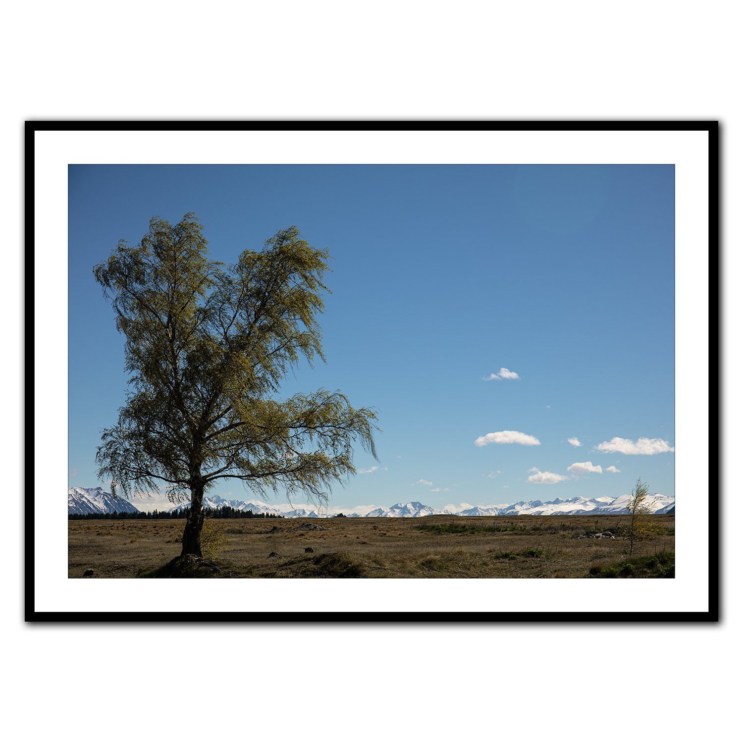 Fine Art Photography prints, one of a kind 