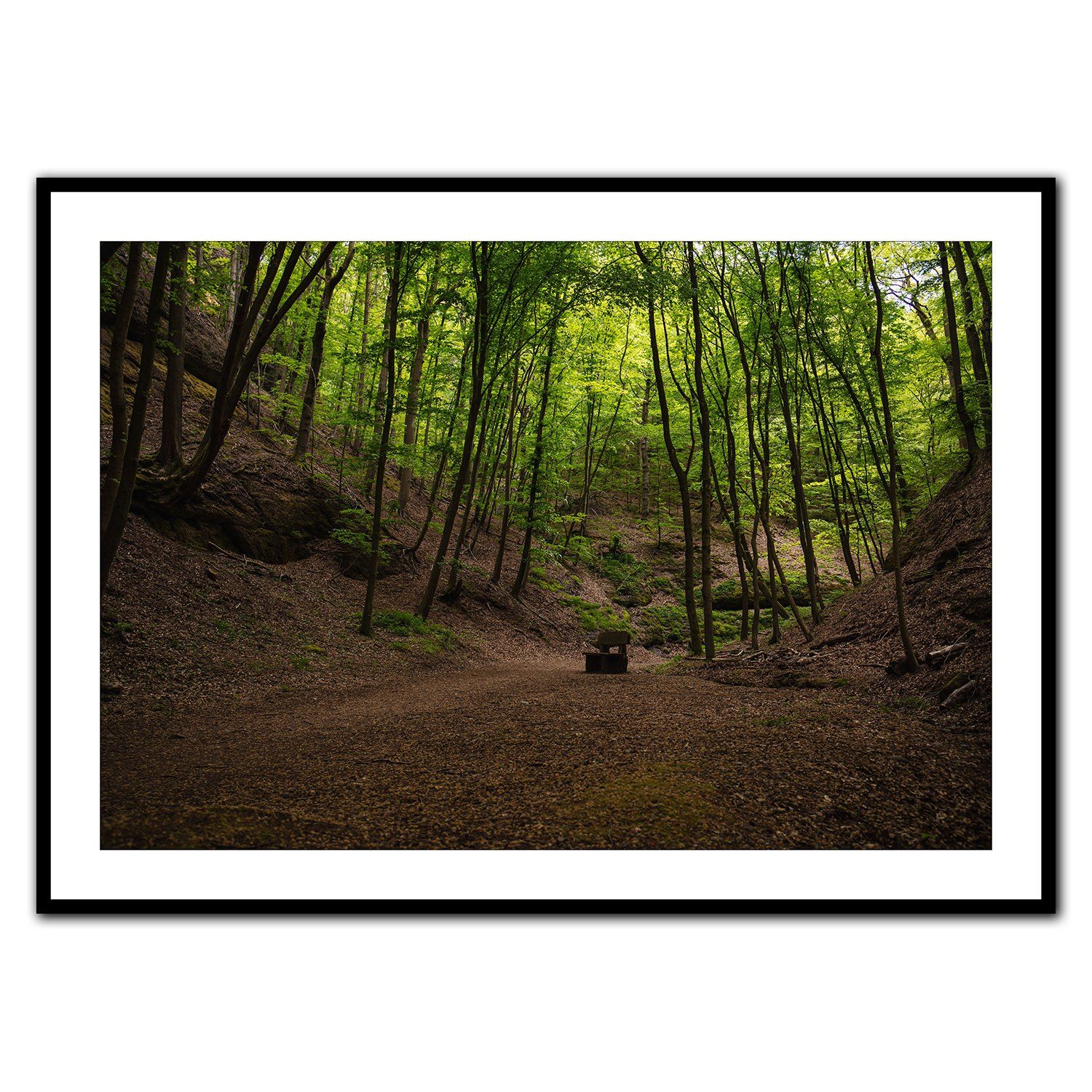 fine art photography giclée print