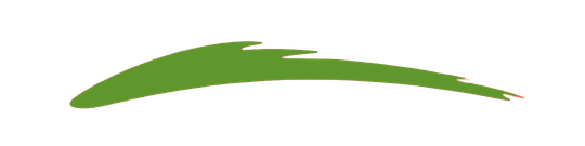 Green logo paint brush stroke