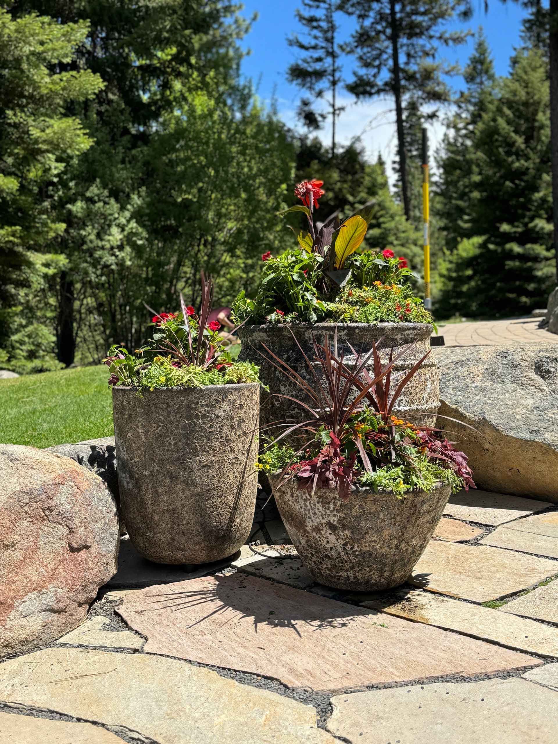 Three potted plants are sitting on a stone patio