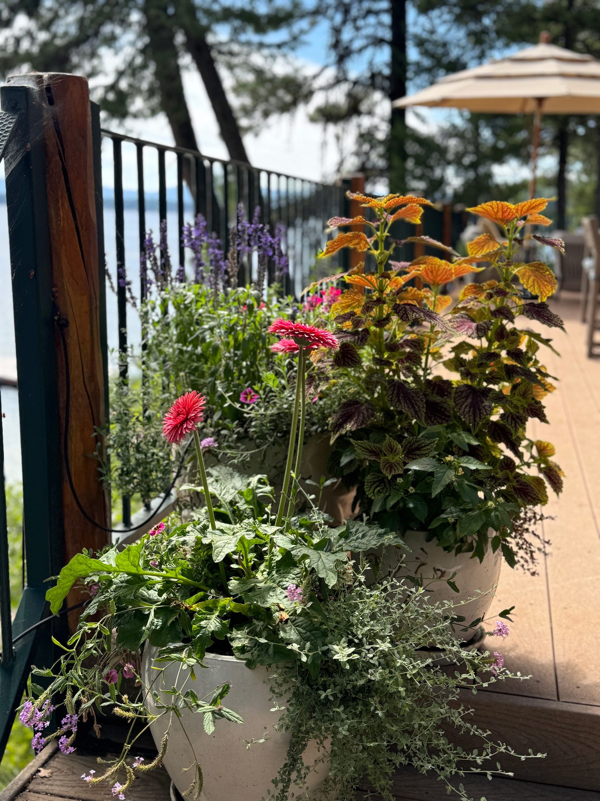 A planter filled with flowers is on a deck next to a railing