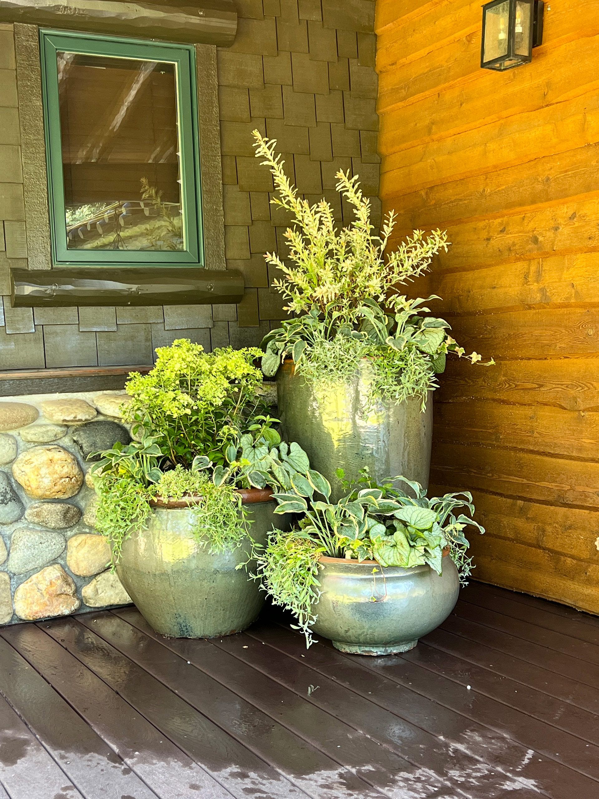 A group of potted plants are sitting on a wooden deck
