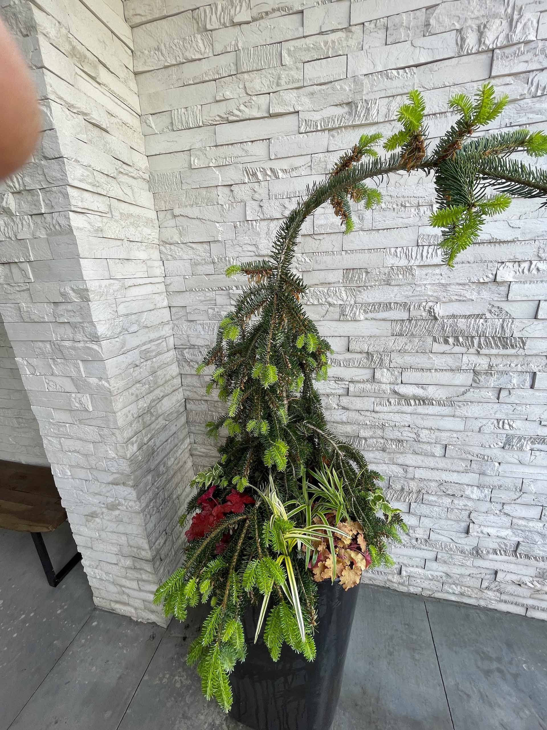 A christmas tree in a black planter in front of a white brick wall